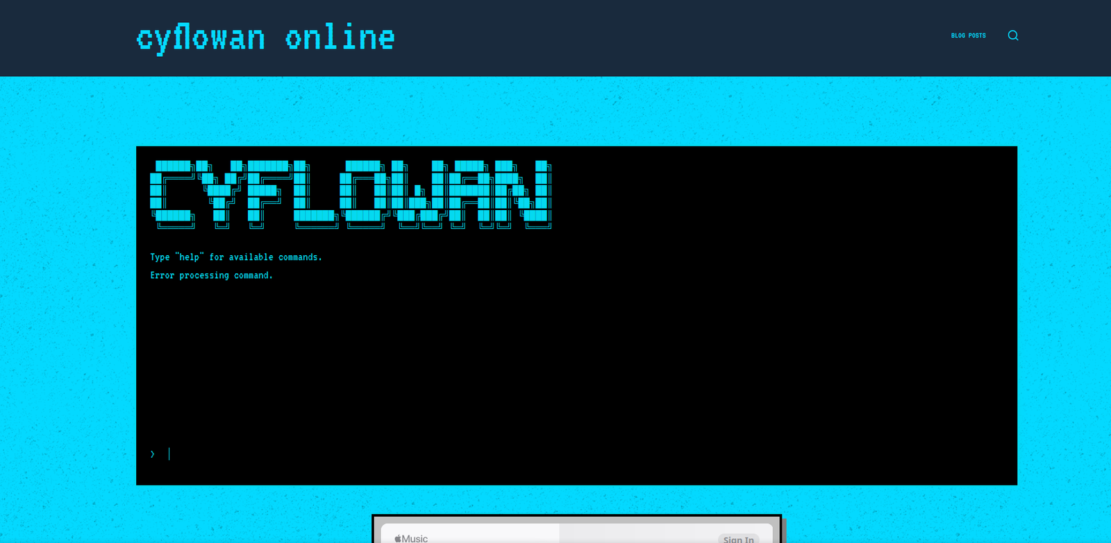 Website 4